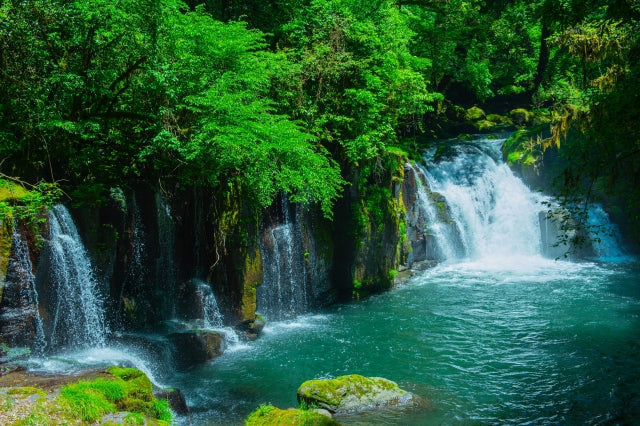 なぜ熊本は「水の国」と呼ばれているの？